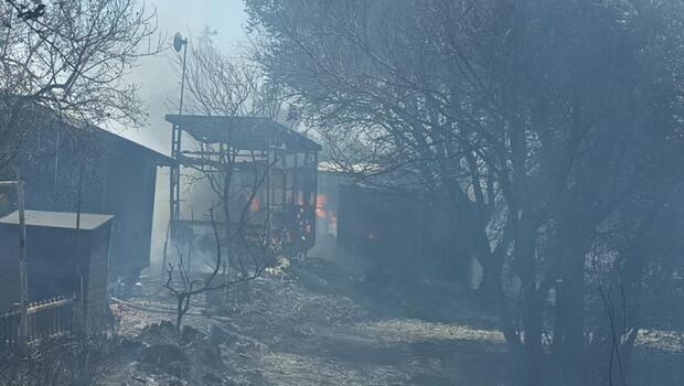 Muğla Bodrum'da çıkan yangın evlere sıçradı