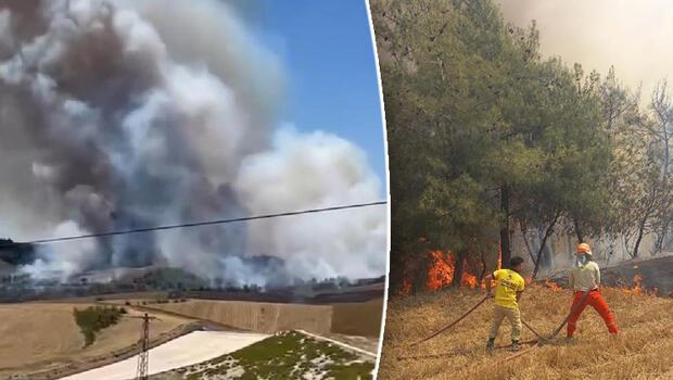 Adana'da orman yangını: Havadan ve karadan müdahale ediliyor