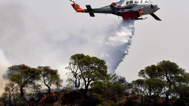 Yunanistan’da son 24 saatte 66 orman yangın