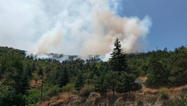 Afyonkarahisar'da orman yangını! Ekipler müdahale ediyor