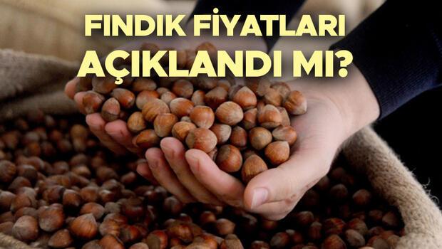 FINDIK FİYATLARI NE KADAR OLACAK 2023? Toprak Mahsulleri Ofisi (TMO) fındık fiyatları açıklandı mı? Levant ve Giresun kalite fındık alım taban fiyatında son durum!