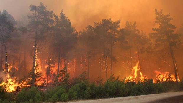 1-9 Ağustos tarihleri arasında 148 orman yangını çıktı! 175 hektar alan zarar gördü