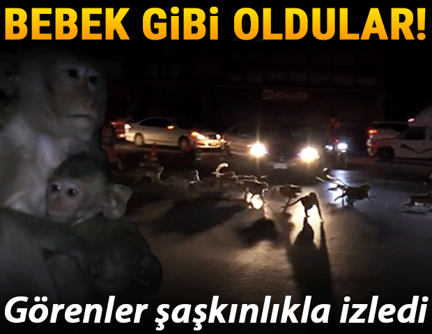 Gideceği yere 10 liraya götürmeyen taksicinin aracını çalıp istediği yere gitti, gözaltına alındı
