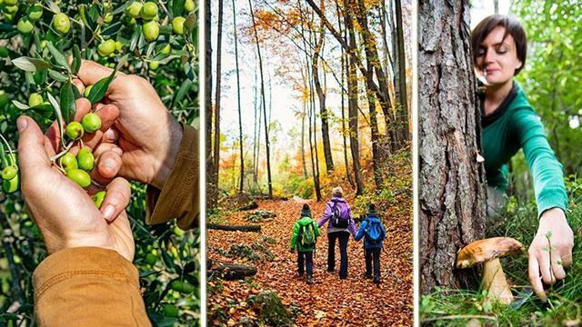 Şimdi yola çıkma vakti: Sonbaharın keyifli aktiviteleri | 12 ŞEHİR 15 ADRES