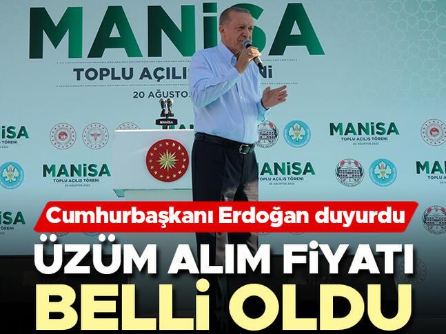 Son dakika... Cumhurbaşkanı Erdoğan üzüm alım fiyatını açıkladı