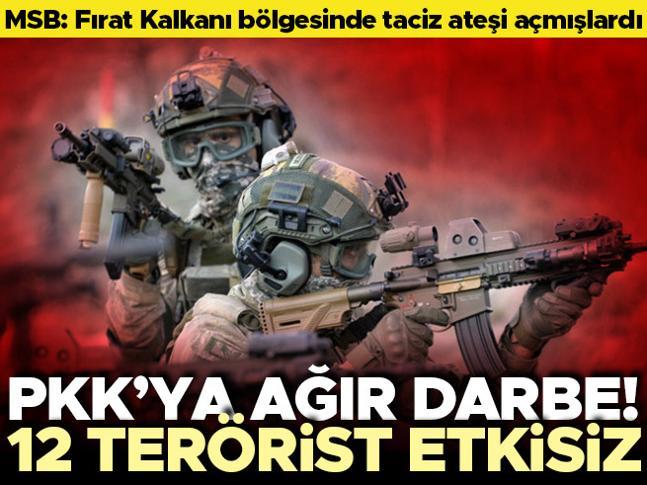 MSB duyurdu 12 terörist etkisiz hale getirildi