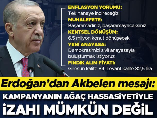 Son dakika haberi: Cumhurbaşkanı Erdoğandan Akbelen mesajı: Kampanyanın ağaç hassasiyetiyle izahı mümkün değil
