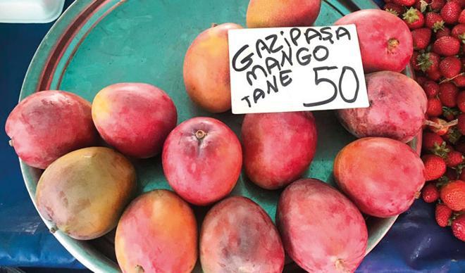 3 günde Avrupa 3 günde Avrupa