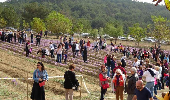 Vatandaşlar akın etti! Sık sık uyarılar yapıldı... Vatandaşlar akın etti! Sık sık uyarılar yapıldı...
