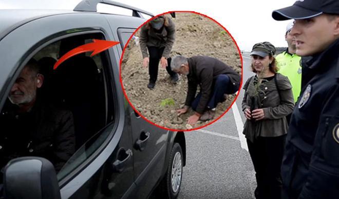 Ceza yazılacağını zannetti... Fidan dikti Ceza yazılacağını zannetti... Fidan dikti