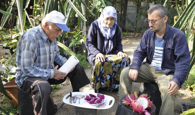 Tanesi 40 TL'ye satılıyor! Yoğun talep görüyor Tanesi 40 TL'ye satılıyor! Yoğun talep görüyor
