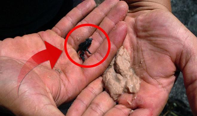 'Kayıp Dünya' olarak bilinen yerde ilginç keşif! Bilim insanlarını çok şaşırttı... 'Kayıp Dünya' olarak bilinen yerde ilginç keşif! Bilim insanlarını çok şaşırttı...