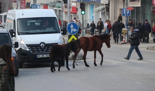 Trafikte ilginç görüntü Trafikte ilginç görüntü