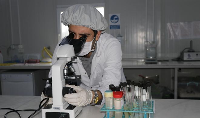 Muğla'da serada üretiyor! 6 ülkeye ihraç ediyor Muğla'da serada üretiyor! 6 ülkeye ihraç ediyor