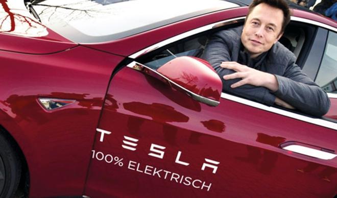 ‘Çevreci’ Tesla’dan Orman Katliamı ‘Çevreci’ Tesla’dan Orman Katliamı