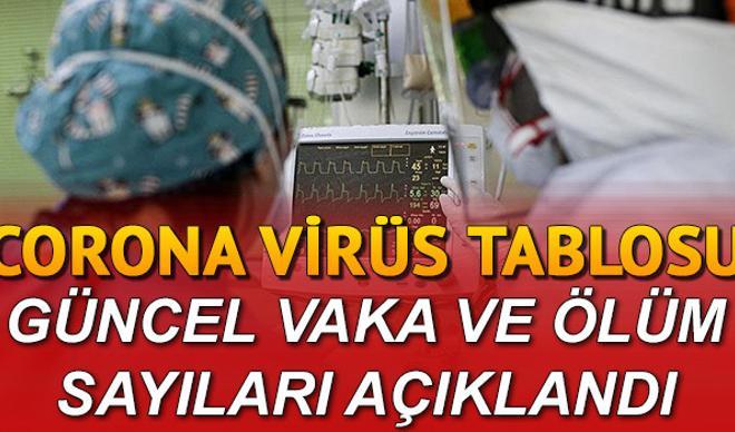 Koronavirüs salgınında dünya geneli ve Türkiye son vaka/ölüm sayısı 24 Mayıs güncel corona tablosu ve son durum açıklandı Koronavirüs salgınında dünya geneli ve Türkiye son vaka/ölüm sayısı 24 Mayıs güncel corona tablosu ve son durum açıklandı