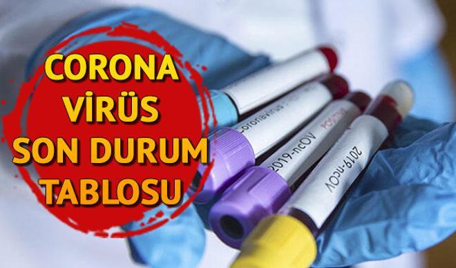 29 Mayıs Koronavirüs Tablosu: Türkiye'de ve dünyada corona virüsü (korona virüs) vaka iyileşen ve ölüm sayısı 29 Mayıs Koronavirüs Tablosu: Türkiye'de ve dünyada corona virüsü (korona virüs) vaka iyileşen ve ölüm sayısı