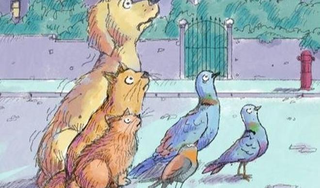 Havai fişekleri bir de kedilerden, köpeklerden dinleyin! Havai fişekleri bir de kedilerden, köpeklerden dinleyin!