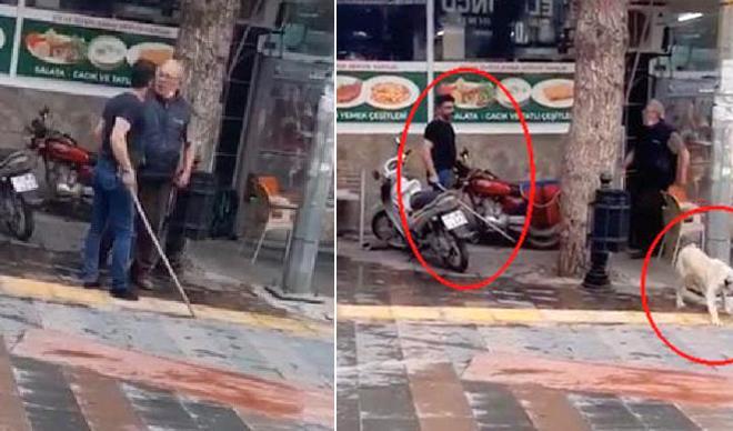 Şoke eden anlar! Köpeği dövdü, kasabın üzerine bıçakla yürüdü... Şoke eden anlar! Köpeği dövdü, kasabın üzerine bıçakla yürüdü...