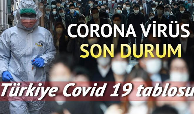 Corona Virüs haritası 5 Haziran gücel verileri: Türkiye tablosunda son durum nedir? Dünya genelindeki Covid 19 gelişmeleri Corona Virüs haritası 5 Haziran gücel verileri: Türkiye tablosunda son durum nedir? Dünya genelindeki Covid 19 gelişmeleri