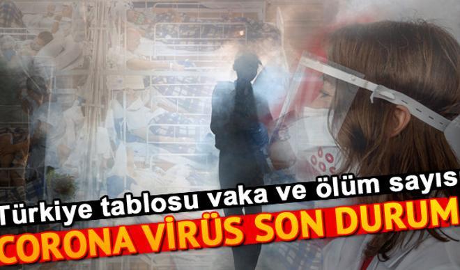 3 Temmuz Koronavirüs Türkiye tablosu son durum: Corona Virüs vaka ve ölüm sayısı.. Covid 19 dünya geneli son dakika haberler 3 Temmuz Koronavirüs Türkiye tablosu son durum: Corona Virüs vaka ve ölüm sayısı.. Covid 19 dünya geneli son dakika haberler