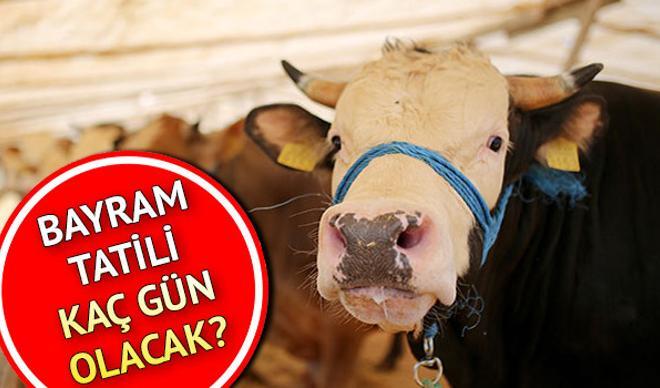 Kurban Bayramı ne zaman, hangi gün kutlanacak? İşte Diyanet'in açıkladığı tarih bilgisi Kurban Bayramı ne zaman, hangi gün kutlanacak? İşte Diyanet'in açıkladığı tarih bilgisi