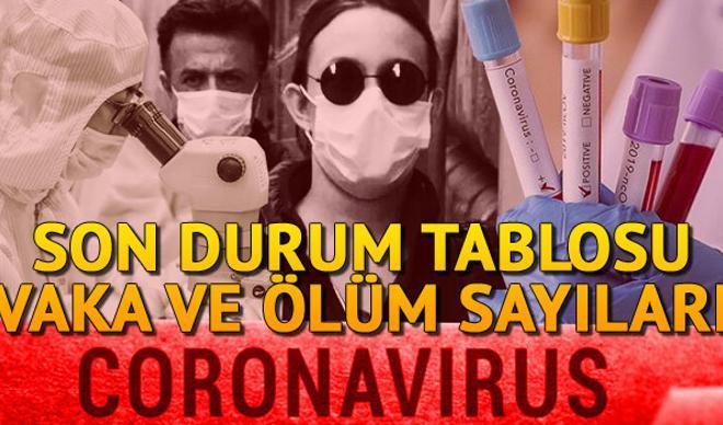 5 Temmuz Corona Virüs Türkiye tablosunda son durum: Türkiye ve dünyada koronavirüs vaka ve ölüm sayısı Covid 19 haritası 5 Temmuz Corona Virüs Türkiye tablosunda son durum: Türkiye ve dünyada koronavirüs vaka ve ölüm sayısı Covid 19 haritası