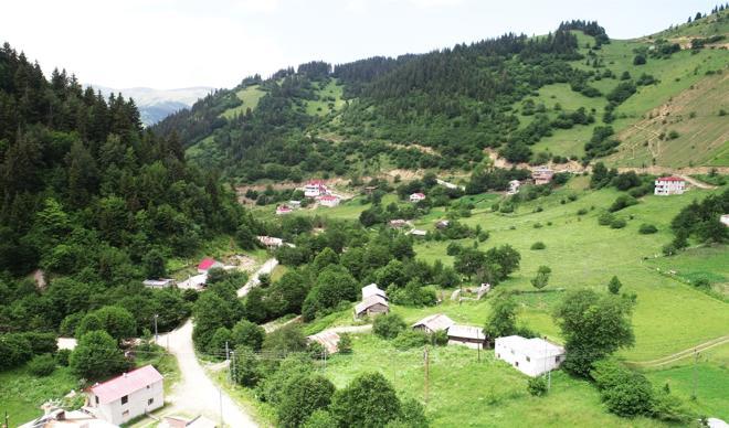 Çam ormanlarının huzur verdiği Kümbet Yaylası Çam ormanlarının huzur verdiği Kümbet Yaylası