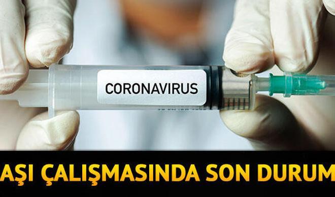 Corona virüs aşısı ne zaman çıkacak? Koronavirüs aşısında son durumu Bakan Koca açıkladı Corona virüs aşısı ne zaman çıkacak? Koronavirüs aşısında son durumu Bakan Koca açıkladı