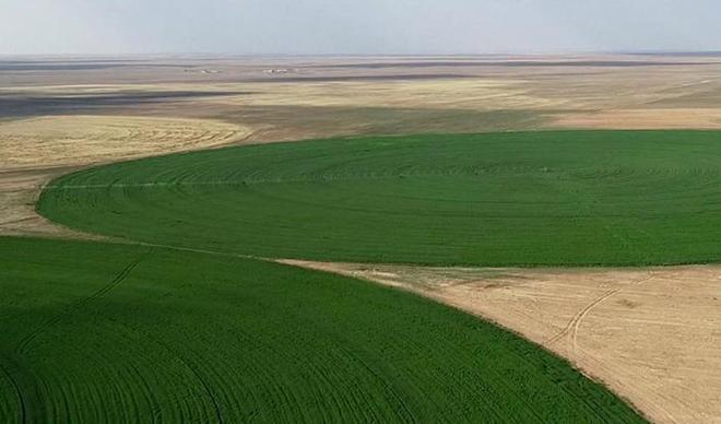 Yılın ilk 6 ayında 182 bin tarla, 154 bin arsa satıldı Yılın ilk 6 ayında 182 bin tarla, 154 bin arsa satıldı