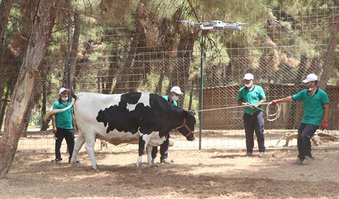 Gaziantep'te, 'kurban yakalama timi' eğitimini tamamladı Gaziantep'te, 'kurban yakalama timi' eğitimini tamamladı