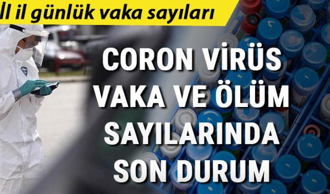 Koronavirüs 15 Ağustos Türkiye tablosu: Koronavirüs vaka sayısı dünya genelinde 21 milyonu aştı - İl il koronavirüs verileri (İstanbul, Ankara, Gaziantep, Adana) Koronavirüs 15 Ağustos Türkiye tablosu: Koronavirüs vaka sayısı dünya genelinde 21 milyonu aştı - İl il koronavirüs verileri (İstanbul, Ankara, Gaziantep, Adana)