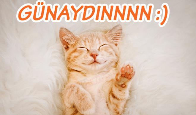 Günaydın Mesajları - Sevgiliye ve Arkadaşa en güzel, etkileyici, romantik, anlamlı uzun ve kısa resimli günaydın sözleri Günaydın Mesajları - Sevgiliye ve Arkadaşa en güzel, etkileyici, romantik, anlamlı uzun ve kısa resimli günaydın sözleri