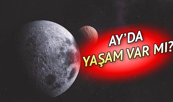 Son dakika haberi: Ay'da yaşam bulundu mu? NASA Ay'da heyecanlandıran yeni keşfi duyurdu Son dakika haberi: Ay'da yaşam bulundu mu? NASA Ay'da heyecanlandıran yeni keşfi duyurdu