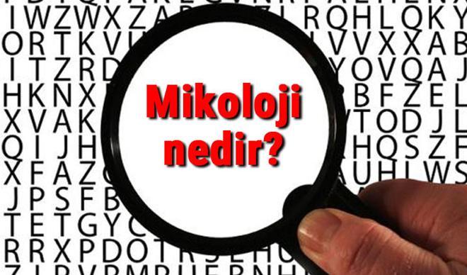 Mikoloji nedir ve neyi inceler? Mikoloji (Mantar Bilimi) hakkında kısaca bilgiler Mikoloji nedir ve neyi inceler? Mikoloji (Mantar Bilimi) hakkında kısaca bilgiler