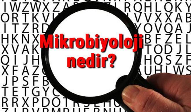 Mikrobiyoloji nedir? Mikrobiyolog ne demek? Mikrobiyoloji bilimi neler ile ilgilenir Mikrobiyoloji nedir? Mikrobiyolog ne demek? Mikrobiyoloji bilimi neler ile ilgilenir