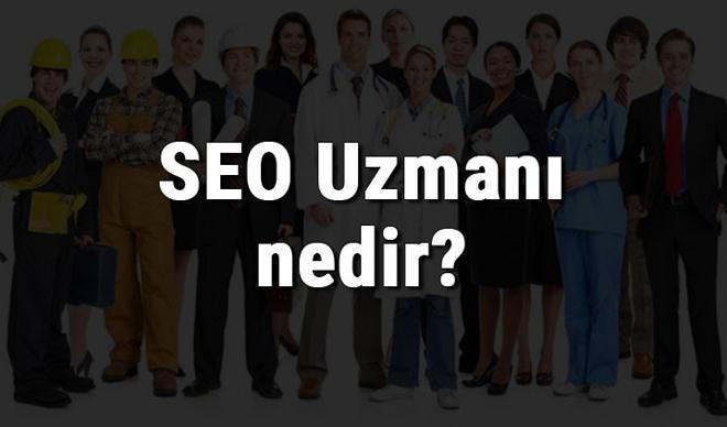 SEO Uzmanı nedir, ne iş yapar ve nasıl olunur? Arama Motoru Optimizasyonu uzmanı olma şartları, maaşları ve iş imkanları SEO Uzmanı nedir, ne iş yapar ve nasıl olunur? Arama Motoru Optimizasyonu uzmanı olma şartları, maaşları ve iş imkanları