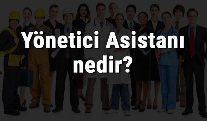 Yönetici Asistanı nedir, ne iş yapar ve nasıl olunur? Yönetici Asistanı olma şartları, maaşları ve iş imkanları Yönetici Asistanı nedir, ne iş yapar ve nasıl olunur? Yönetici Asistanı olma şartları, maaşları ve iş imkanları