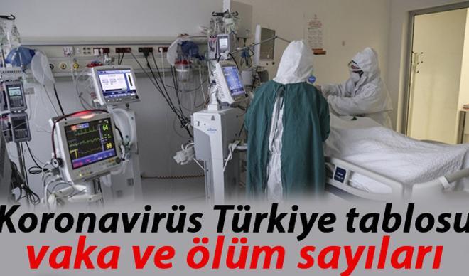 28 Ocak koronavirüs (covid-19) Türkiye tablosunda son durum: Sağlık Bakanlığı corona virüs vaka, iyileşen ve ölüm sayılarında dikkat çeken rakam 28 Ocak koronavirüs (covid-19) Türkiye tablosunda son durum: Sağlık Bakanlığı corona virüs vaka, iyileşen ve ölüm sayılarında dikkat çeken rakam