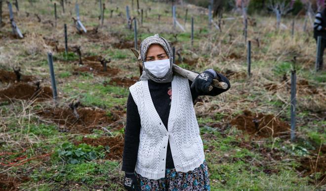 İzmirli kadınlar bağlarını imece usulü sezona hazırlıyor İzmirli kadınlar bağlarını imece usulü sezona hazırlıyor