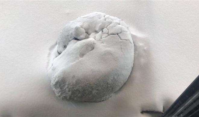 Lapa lapa yağan kar altında böyle uyudu!