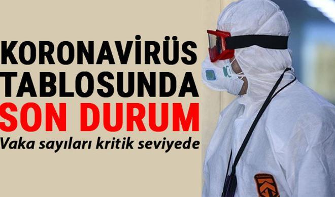25 Şubat Koronavirüs Türkiye tablosu son durum: Corona virüs vaka sayısında tehlikeli artış... İşte Covid 19 verilerinde son açıklamalar 25 Şubat Koronavirüs Türkiye tablosu son durum: Corona virüs vaka sayısında tehlikeli artış... İşte Covid 19 verilerinde son açıklamalar