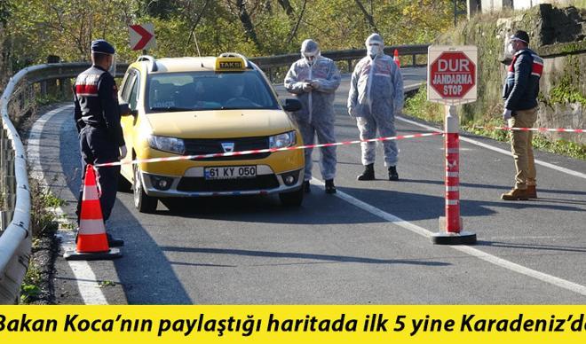 Karadeniz'de kırmızı alarm! Çarpıcı tespit: Her 4 vakadan biri... Karadeniz'de kırmızı alarm! Çarpıcı tespit: Her 4 vakadan biri...