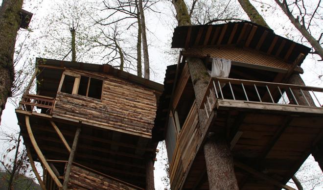 Rize'deki marangozdan ilginç mimari! Pandemi sığınağı yaptı, ağaç evde yaşıyor Rize'deki marangozdan ilginç mimari! Pandemi sığınağı yaptı, ağaç evde yaşıyor