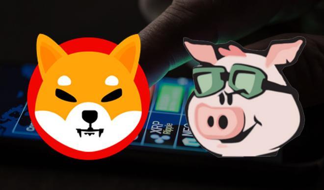 Shiba Inu ve Pig Finance'a büyük ilgi! Bol sıfırlı coinler yarışıyor Shiba Inu ve Pig Finance'a büyük ilgi! Bol sıfırlı coinler yarışıyor