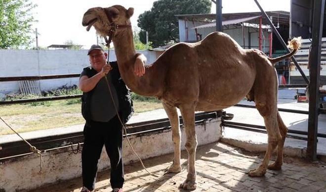 Talep patlaması yaşandı! Siparişlere yetişemiyorlar... Litresi 100 liradan satılıyor Talep patlaması yaşandı! Siparişlere yetişemiyorlar... Litresi 100 liradan satılıyor