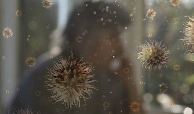 Mayıs sıkıntısı: Covid mi oldum, polen alerjisi mi?