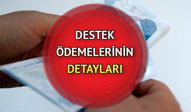 Esnafa destek paketinde neler var? 5 bin ve 3 bin TL destek kimlere ne zaman yapılacak? İşte başvuru şartları Esnafa destek paketinde neler var? 5 bin ve 3 bin TL destek kimlere ne zaman yapılacak? İşte başvuru şartları