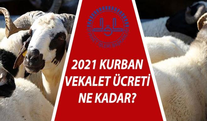 Kurban vekalet ücreti ne kadar? Vekalet nasıl verilir? 2021 vekalet yoluyla kurban kesim bedelini Diyanet açıkladı Kurban vekalet ücreti ne kadar? Vekalet nasıl verilir? 2021 vekalet yoluyla kurban kesim bedelini Diyanet açıkladı