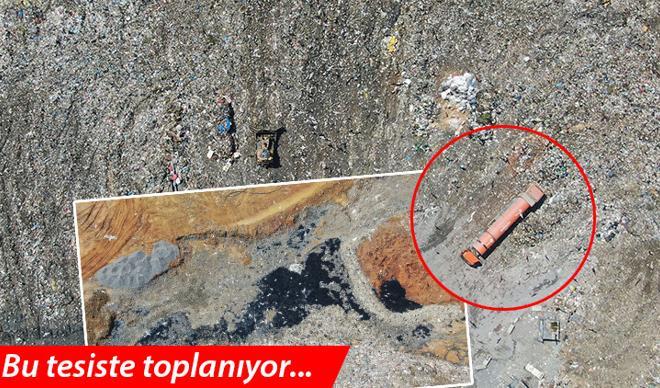 Tedirgin eden müsilaj görüntüleri geldi Tedirgin eden müsilaj görüntüleri geldi
